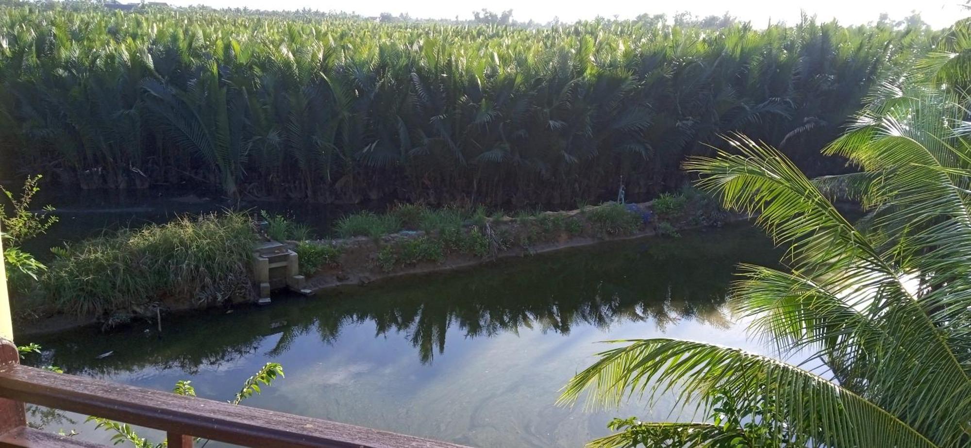 Lakeview Villa Homestay Hội An Ngoại thất bức ảnh