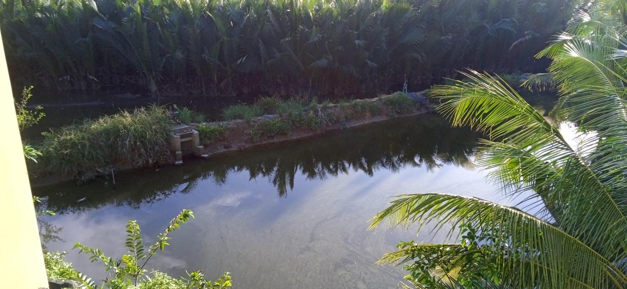 Lakeview Villa Homestay Hội An Ngoại thất bức ảnh